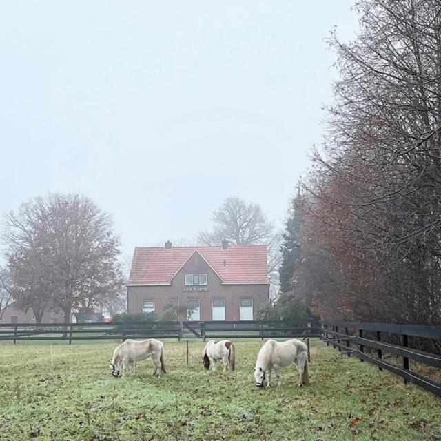 Hoeve De Snippert Groenlo Exterior foto
